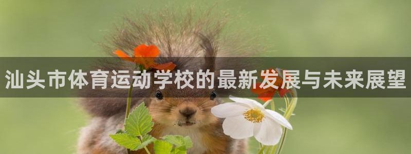 vsport体育官方正版app集团logo