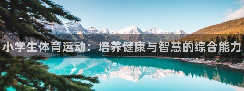 vsport体育官网下载招商电话地址：小学生体育运动