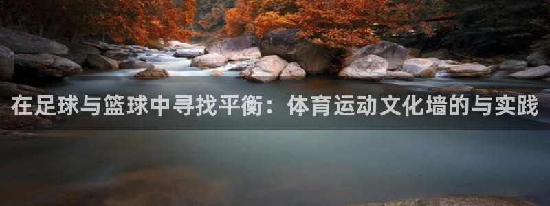 vsport体育官网下载招商电话号码：在足球与篮球中