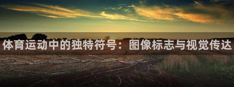 海南vsport体育官网下载发展怎么样：体育运动中的