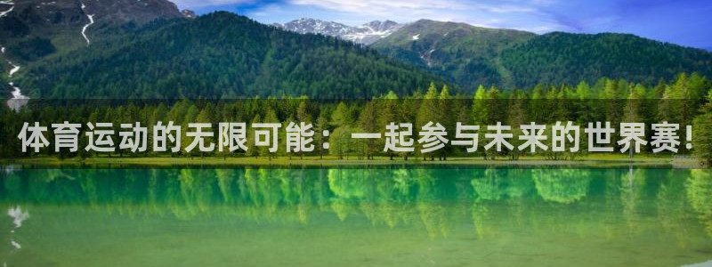 vsport体育官方正版app集团简介