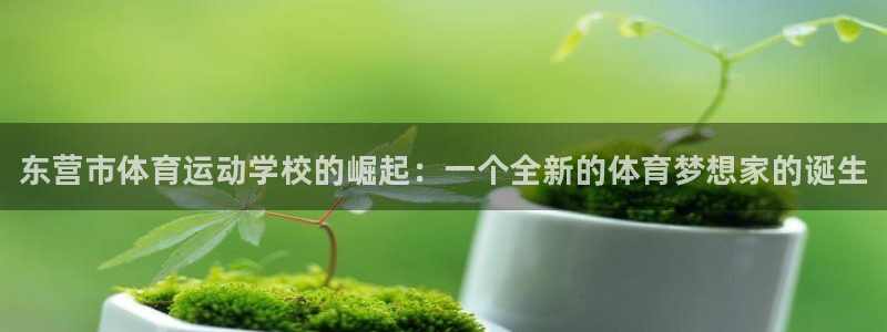 vsport体育官网下载是干嘛的公司：东营市体育运动