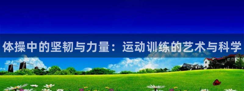 vsport体育官方正版app集团简介：体操中的坚韧
