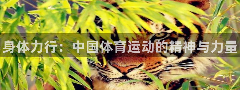 vsport体育官方平台体育：身体力行：中国体育运动的精神与