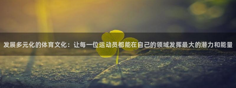 海南vsport体育官网下载