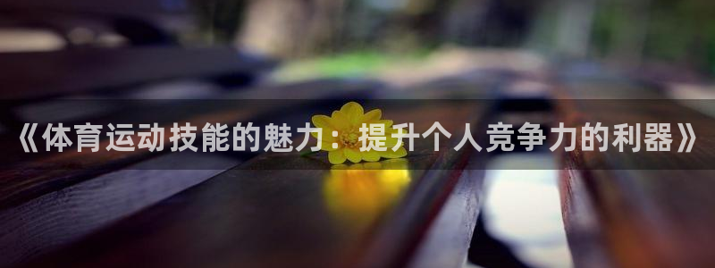 vsport体育官网下载招商电话地址是多少